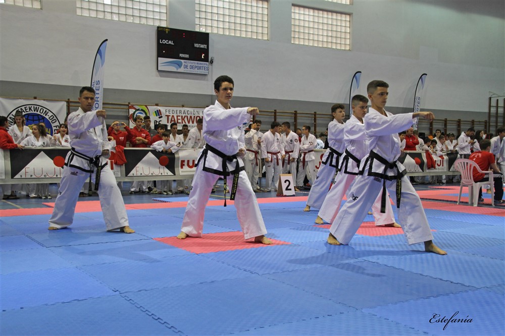 Copa Seul 2018 (324).jpg